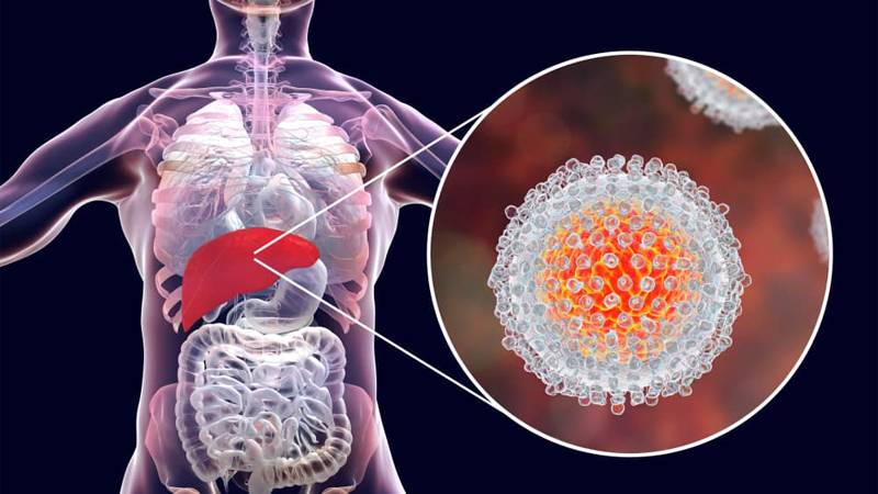 Pencegahan Penyakit Hepatitis B dan C – PAFI Terempa
